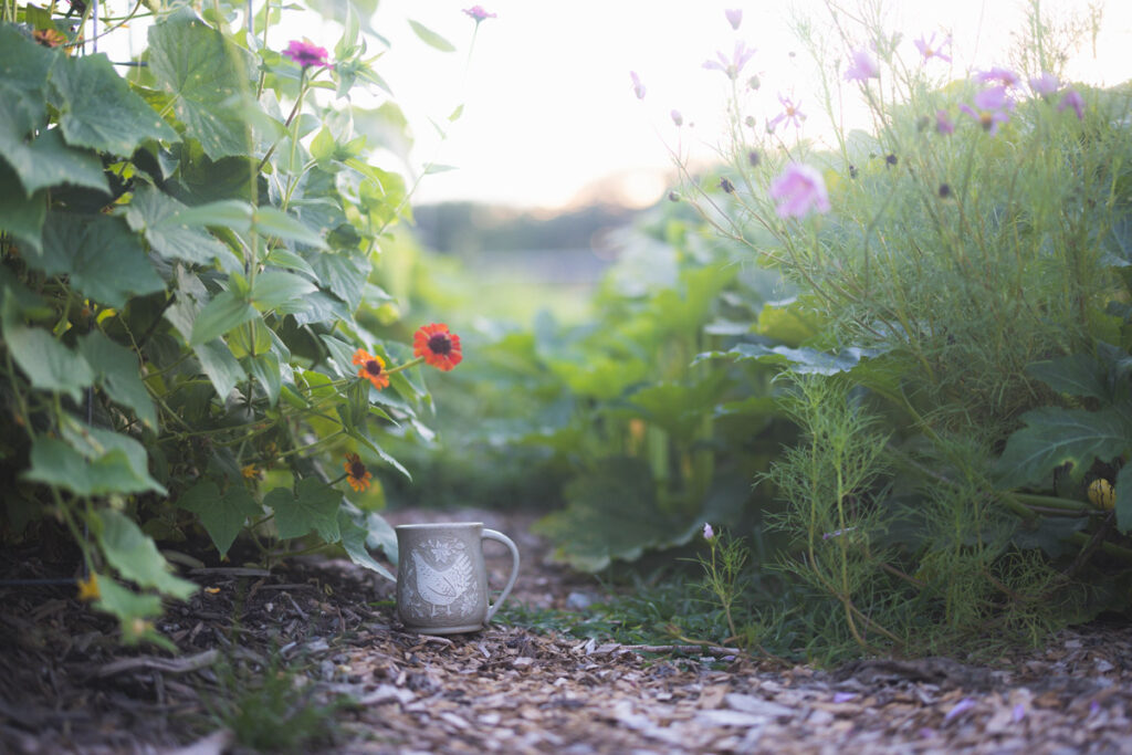 A mug sitting in the garden.