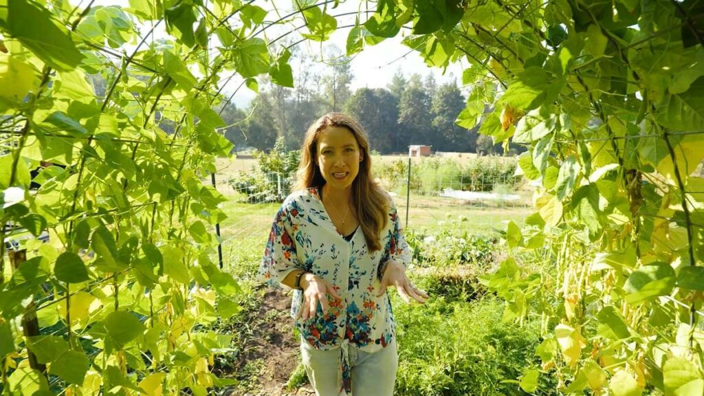 A woman standing in the arch of a bean tunnel.