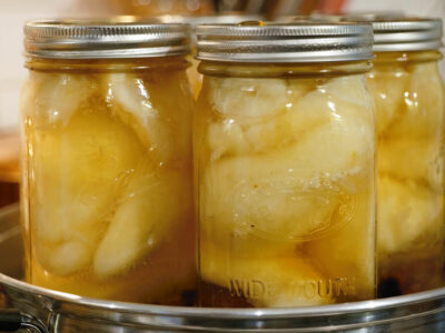 Canned pears in a steam canner.