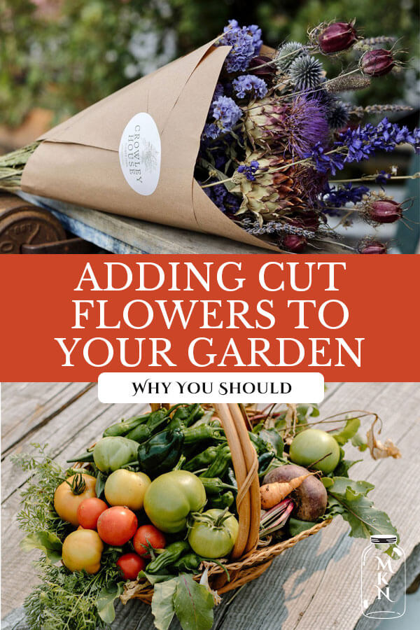 Growing Cut Flowers For Business Or Pleasure - Melissa K. Norris