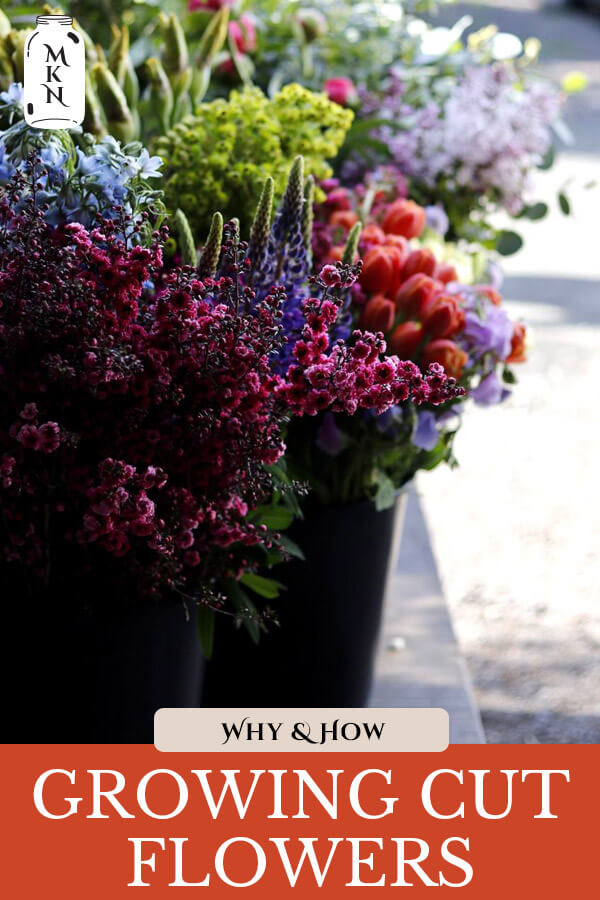 Growing Cut Flowers for Business or Pleasure Melissa K. Norris