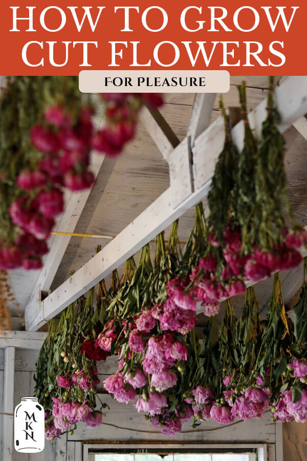 Growing Cut Flowers for Business or Pleasure Melissa K. Norris