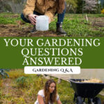 Pinterest pin for a Gardening Q&A podcast. Image of a woman working in the garden.