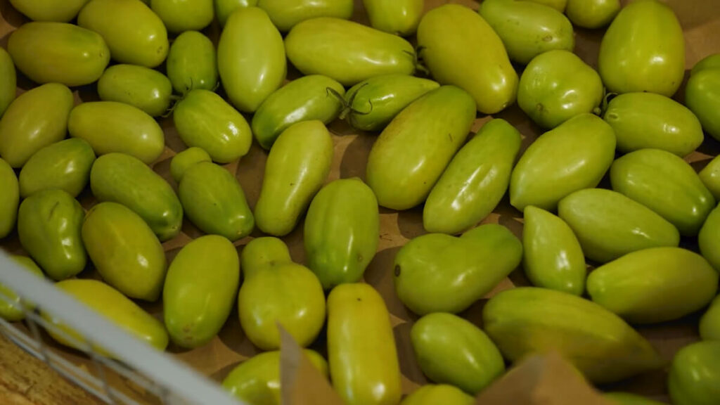 Fermented Green Tomatoes - Nourished Kitchen