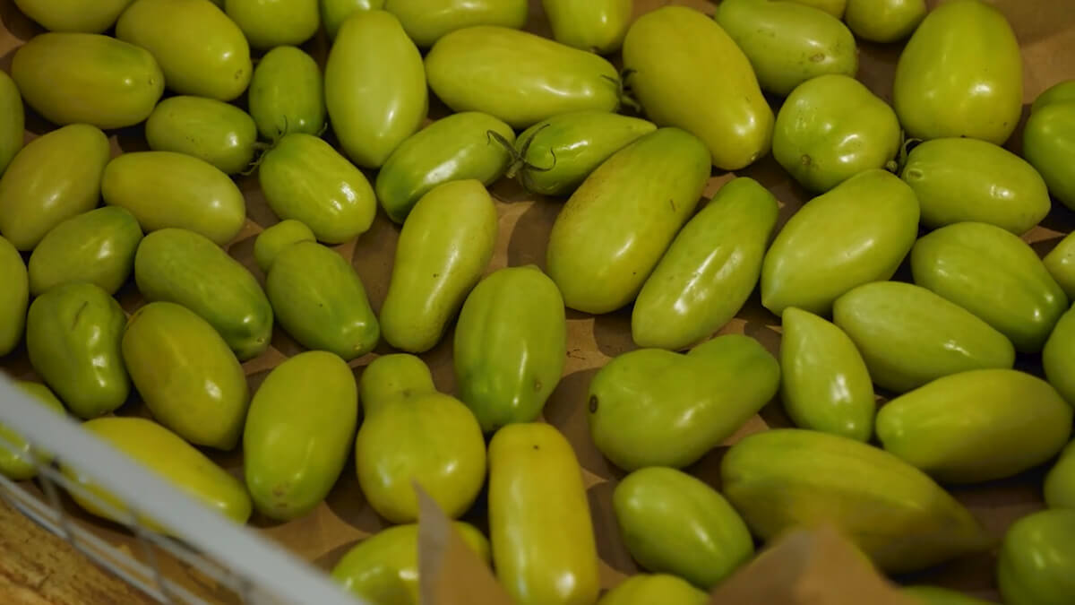 Green tomatoes in a basket.