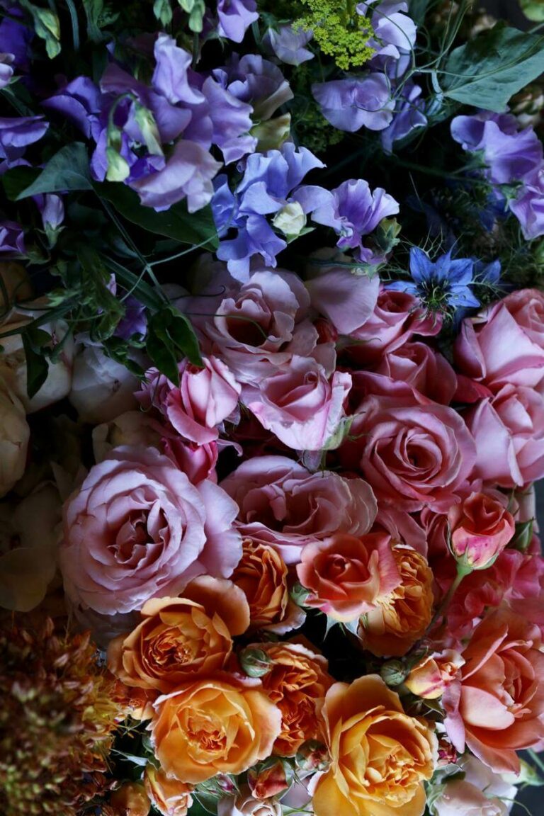 Growing Cut Flowers for Business or Pleasure Melissa K. Norris