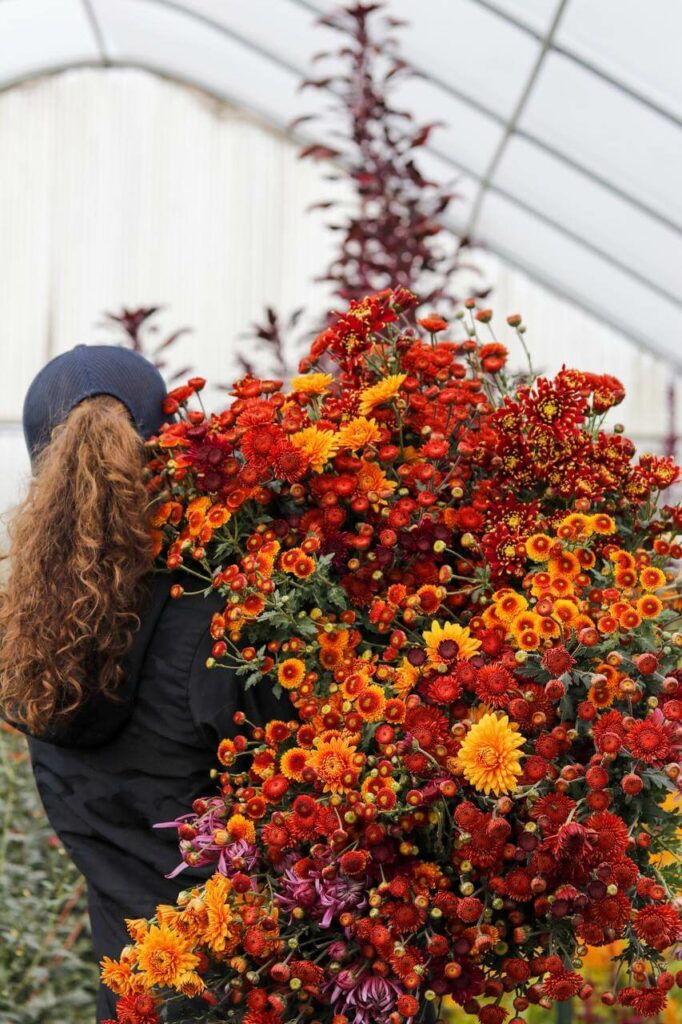 A woman cutting fresh cut flowers for bouquets.