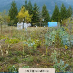 Pinterest pin for garden tasks in November. Image of a winter garden.