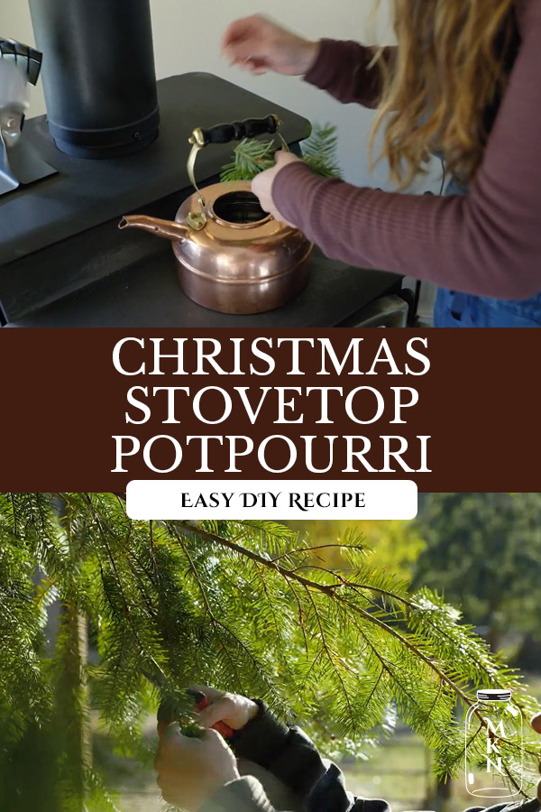 Christmas Stovetop Potpourri Melissa K. Norris