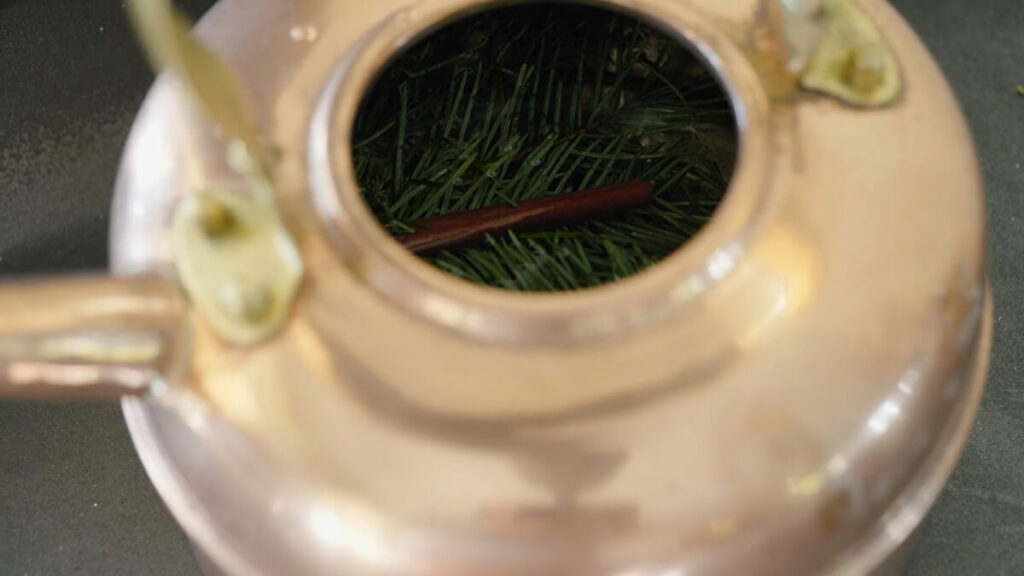 A tea kettle on a wood burning stove with evergreen branches and a cinnamon stick.