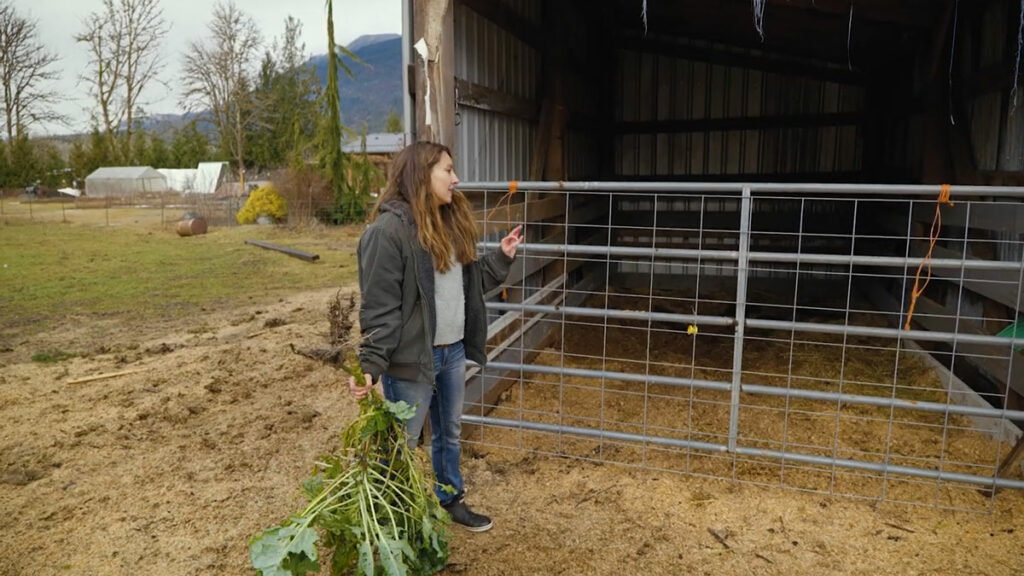 A woman standing outside a barn enclosure.