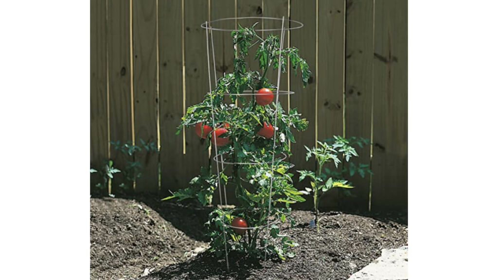 Tomato Trellis Update - End of Season Report (More in comments