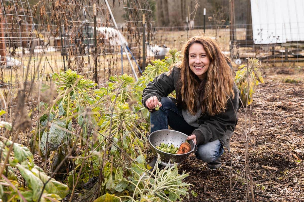 A woman harvesting Brussel sprouts in a winter garden.