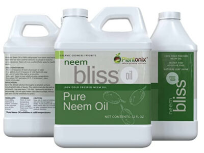 Bottles of Neem Oil