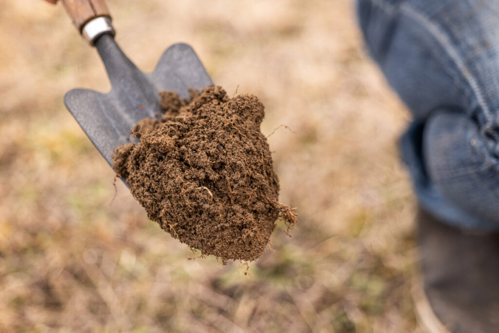 A shovel full of soil.