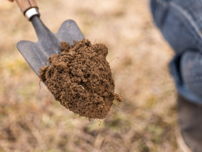 A shovel full of soil.