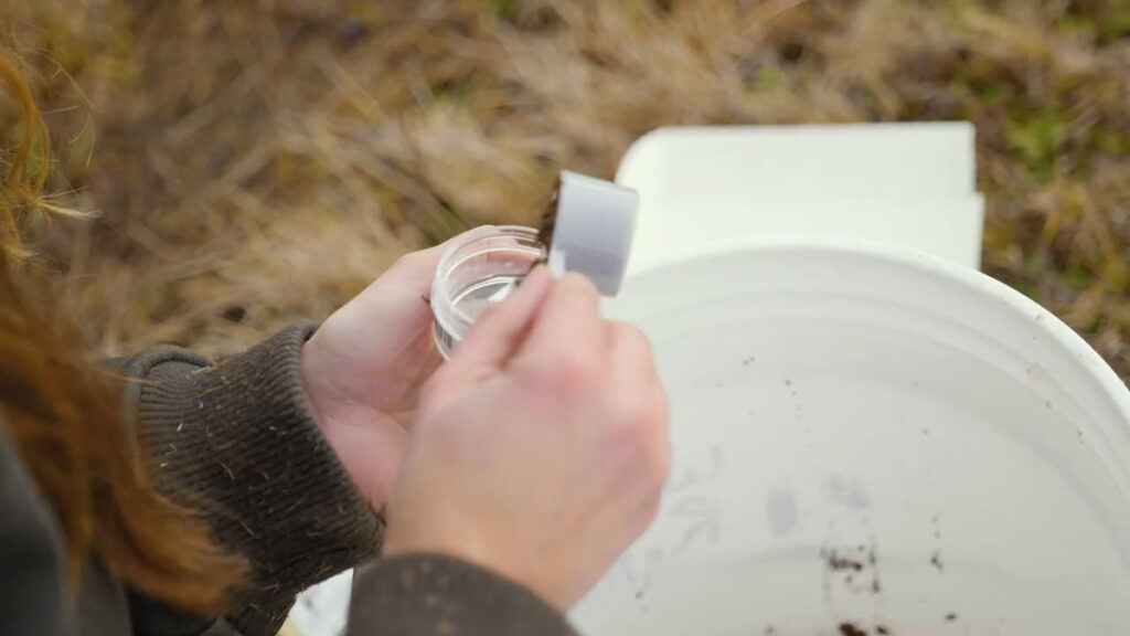A woman's hands putting soil into a soil test kit.