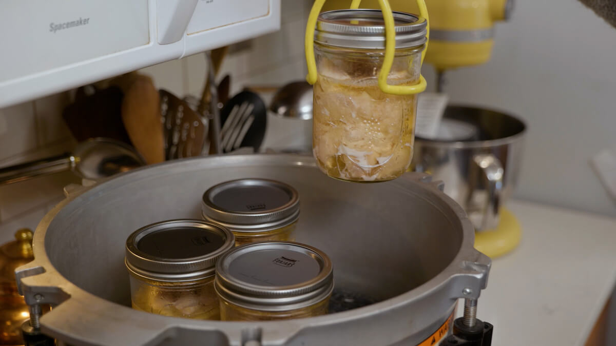 Jars of pressure canned chicken being lifted out of a pressure cooker.