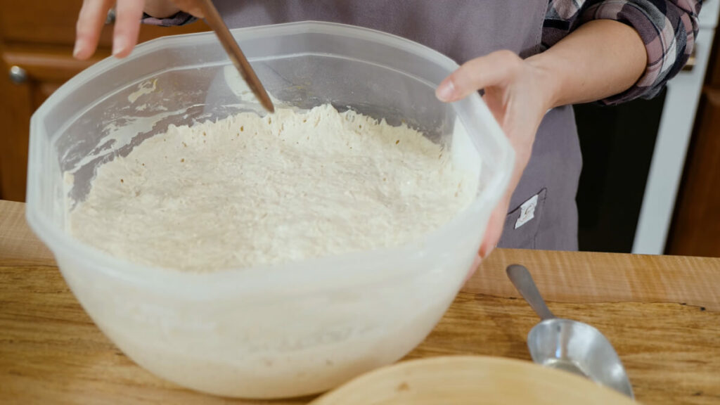 Master dough in a large plastic container.