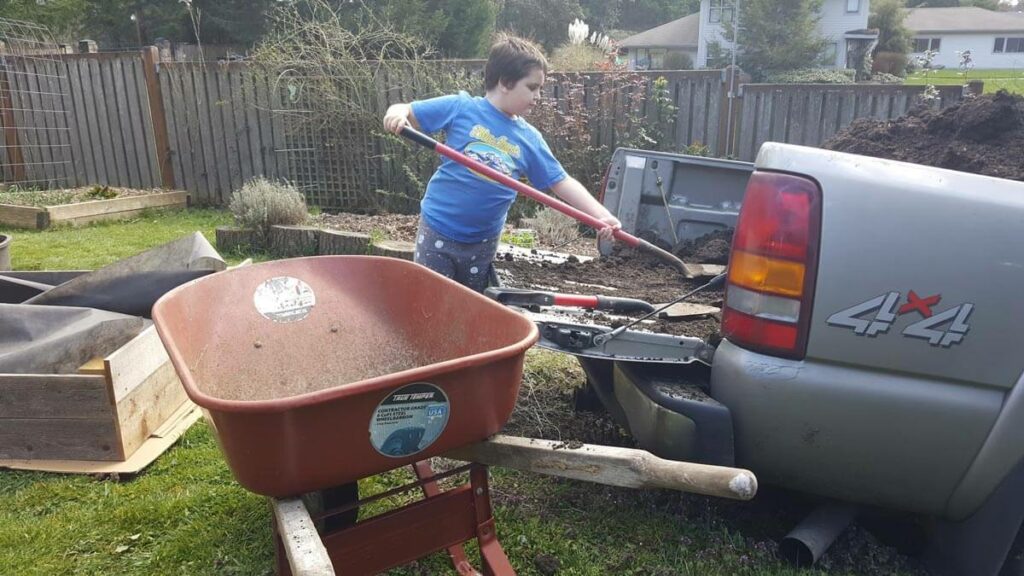 A young boy shoveling compost out of the back of a truck into a wheel barrow.