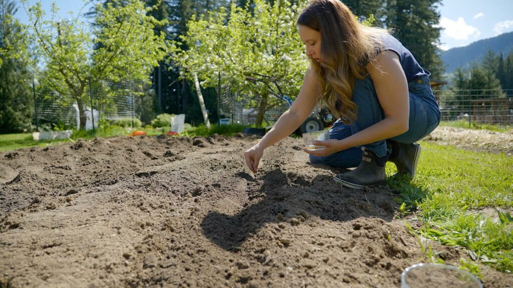 Yummy Soil Model  Farmer's Daughter