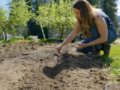 A woman's hand planting a beet seed in the garden.