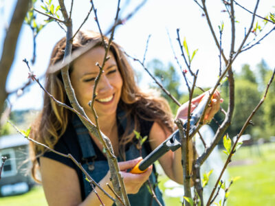 A woman smiling while pruning a fruit tree.