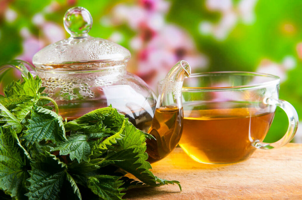 Stinging nettle tea on a table.