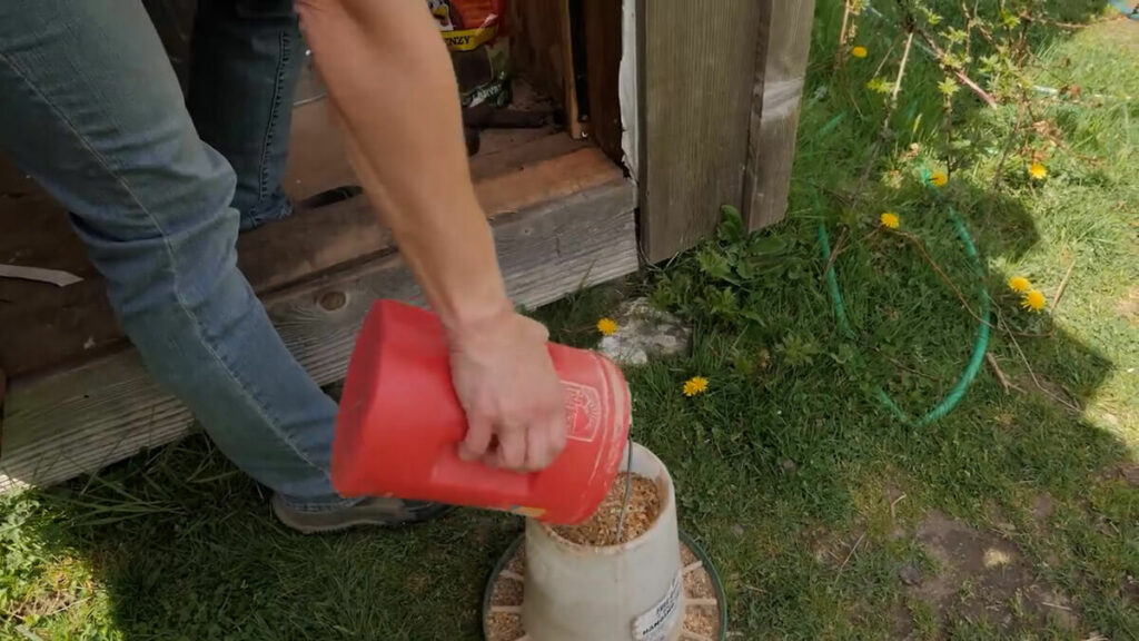 A chicken feeder getting topped off with feed.