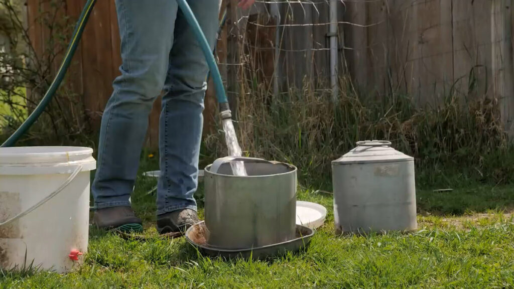 A hose filling a chicken waterer.