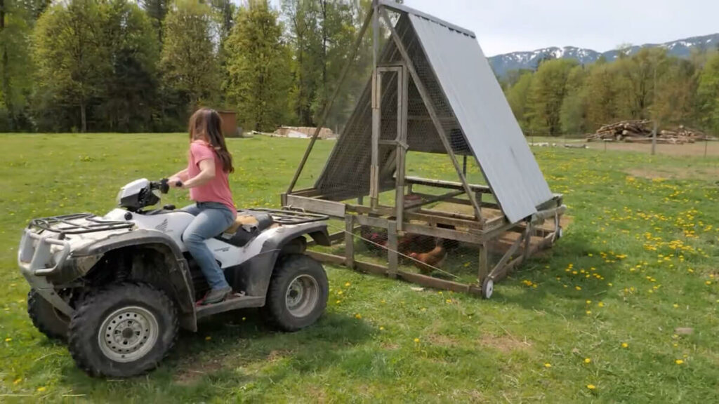 A woman pulling a portable chicken coop with a four wheeler.