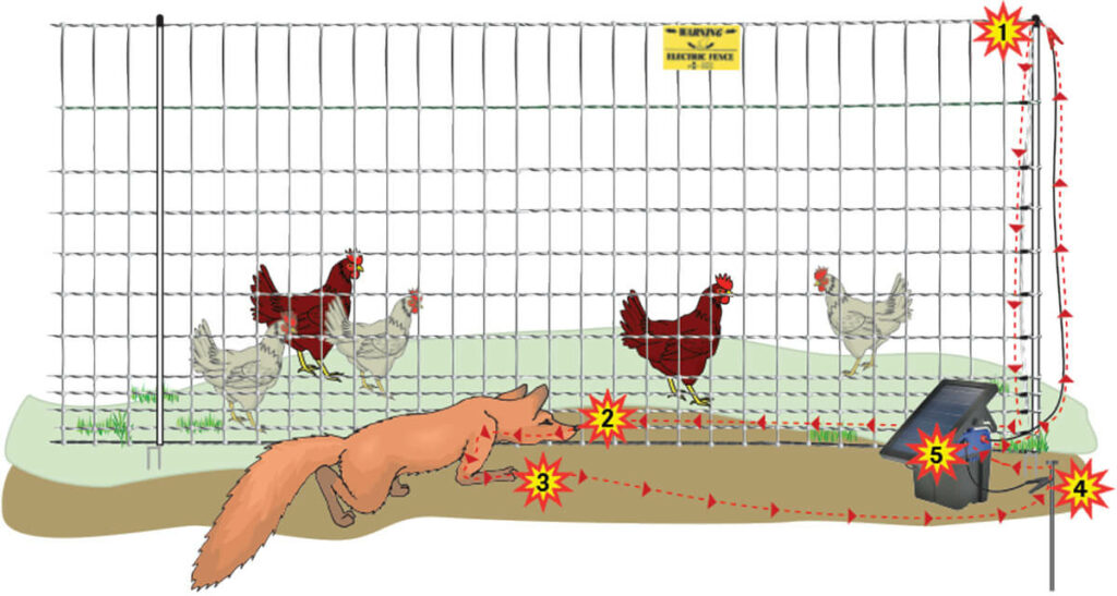 An illustration of how electric fence netting works.