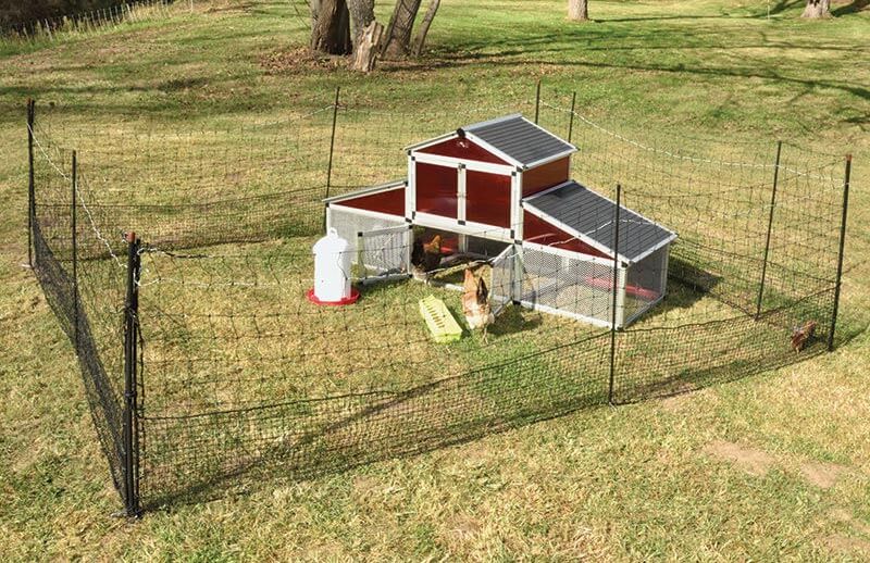 Shock or Not Netting around a chicken coop.