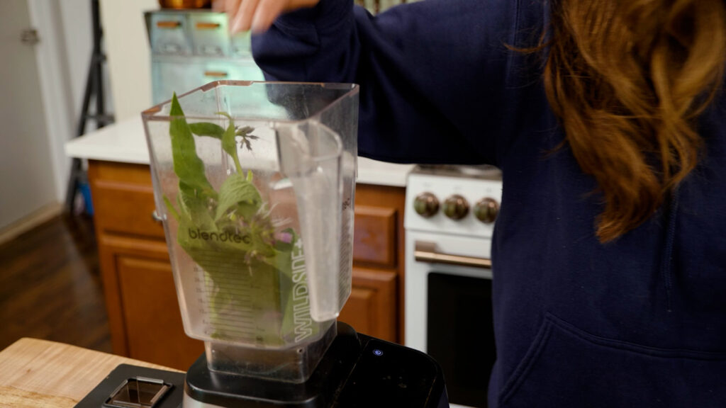 A woman adding comfrey leaves to a blender.