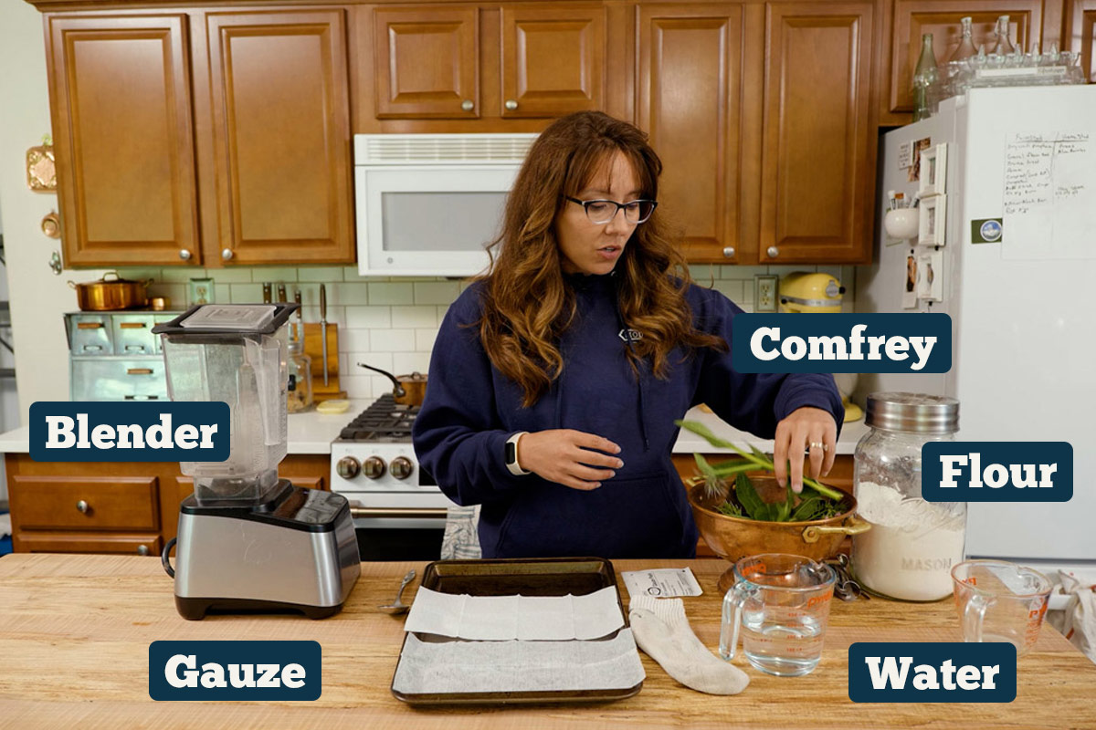 Comfrey poultice supplies and ingredients: blender, comfrey, flour, water, and gauze.