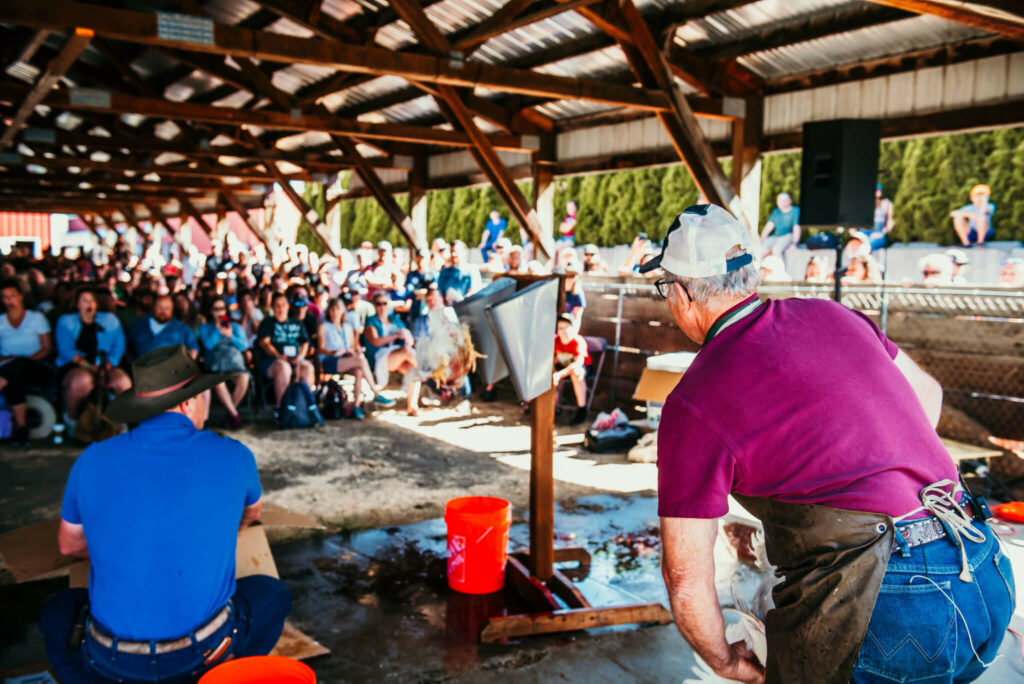 Joel Salatin teaching to a crowd at the Modern Homesteading Conference.