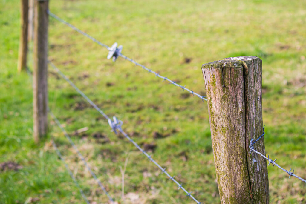 Barbed wire fencing with wooden posts.