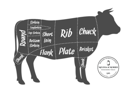 Graphic of a cow and the cuts you get when butchering.