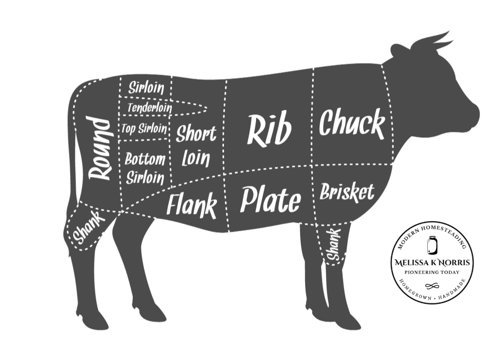 Graphic of a cow and the cuts you get when butchering.