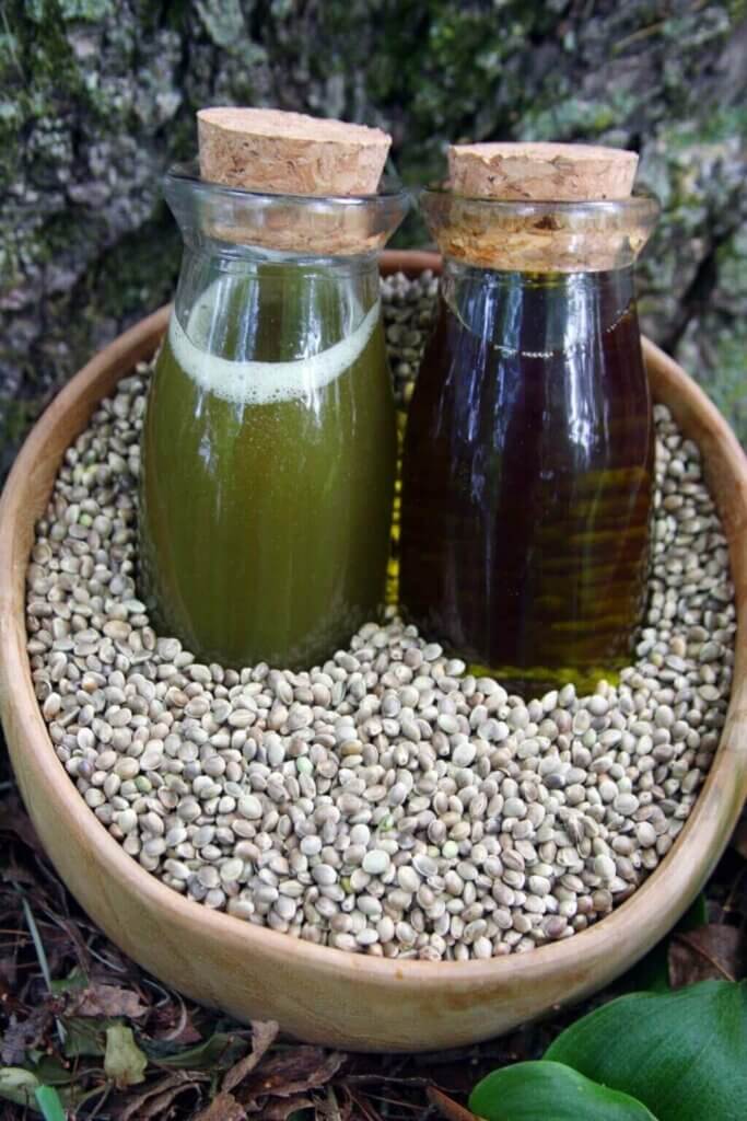 Pressing Your Own Seed & Nut Oils at Home - Melissa K. Norris