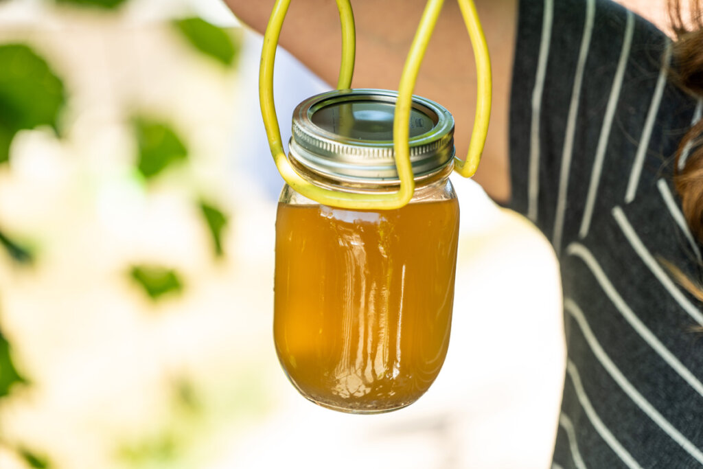 A jar of broth being held up by a canning tool.