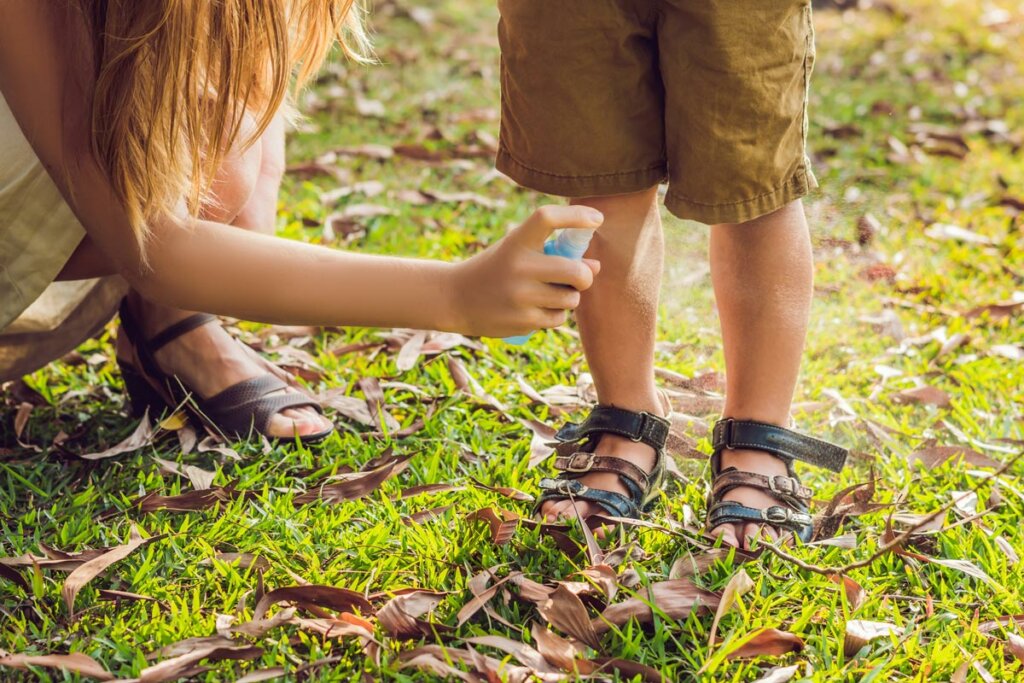 A woman spraying bug repellant on a small child.