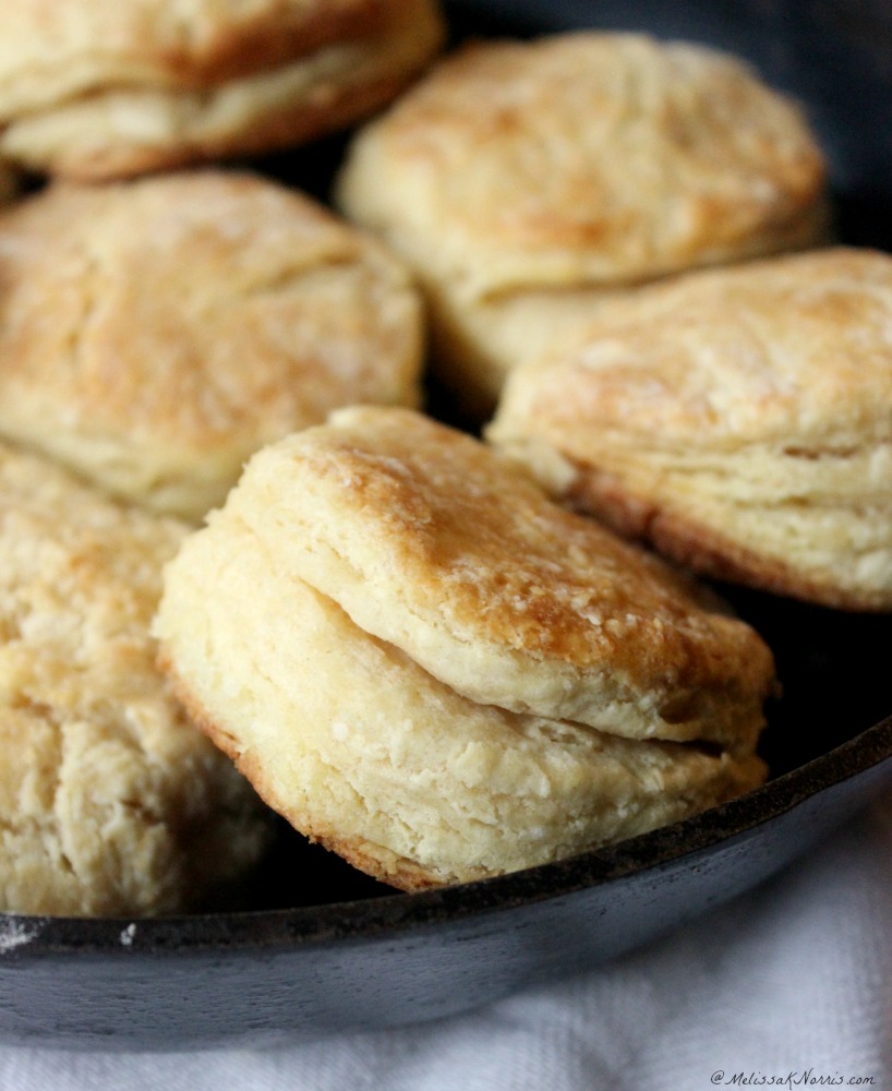 Buttermilk biscuits in a cast iron pan.