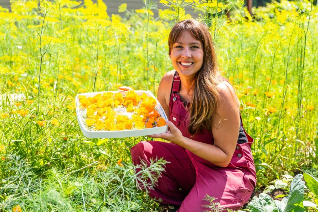 A woman holding a tray of calendula flowers in the garden.