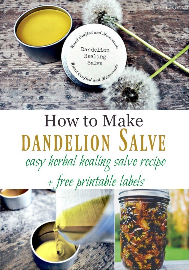 Pinterest pin with multiple images of dandelions, salve and dandelion oil. Text overlay says, "How to Make Dandelion Salve: easy herbal healing salve recipe + free printable labels"