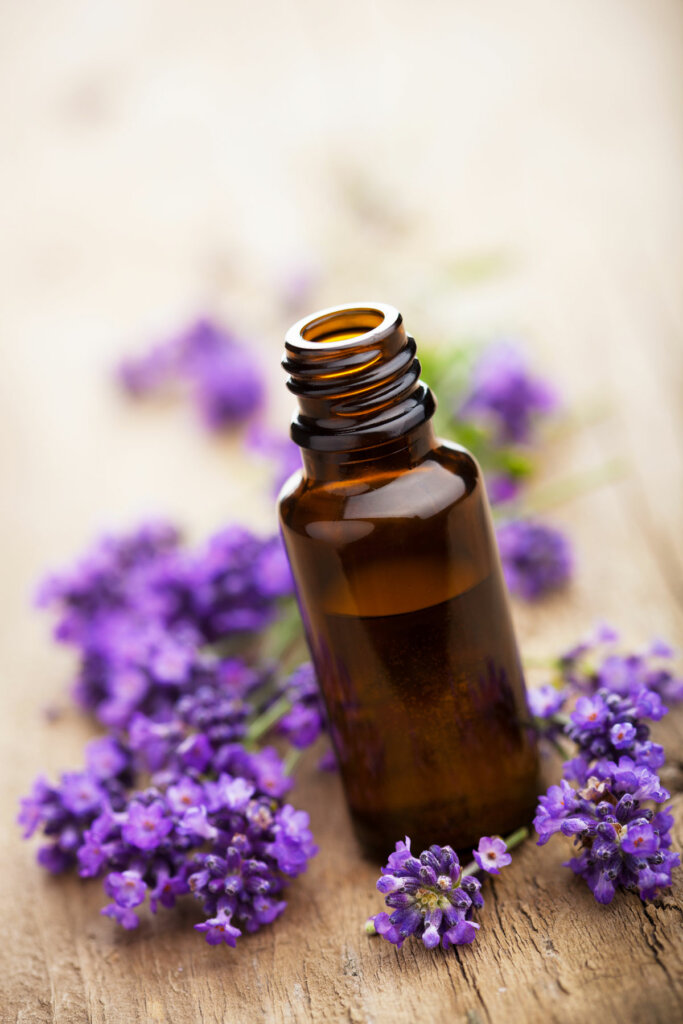 A bottle of essential oils with fresh lavender.