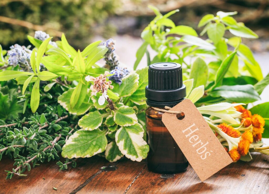 Herbs and a bottle of essential oil on a wooden counter.