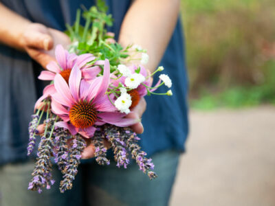 A woman holding a bundle of herbal flowers.