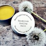 Dandelion salve in a tin.