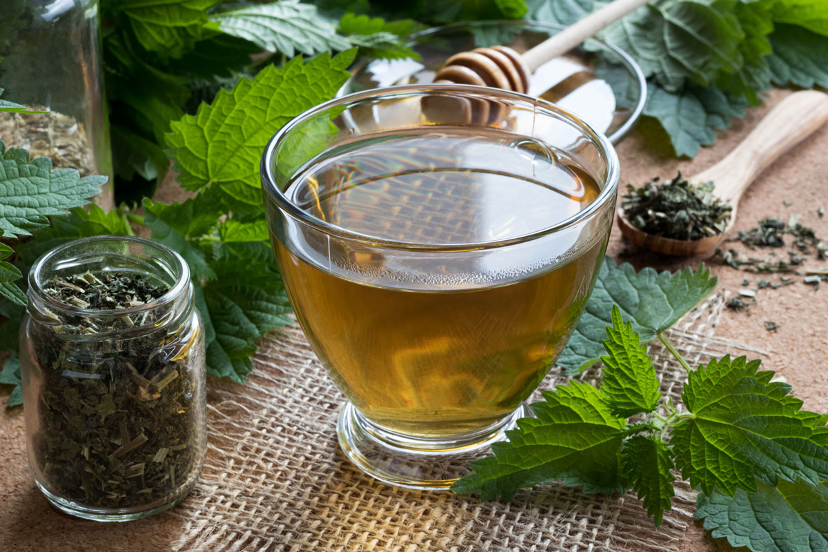 A glass mug with nettle leaf tea.